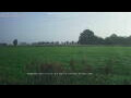 Webcam 't Zandt