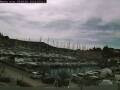 Webcam Vrsar