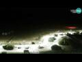 Webcam Bibione