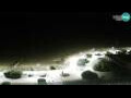 Webcam Bibione