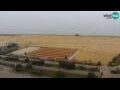 Webcam Bibione