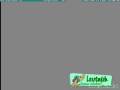 Webcam Leutasch