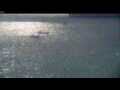 Webcam Les Anses-d'Arlet