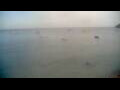 Webcam Les Anses-d'Arlet