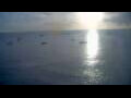 Webcam Les Anses-d'Arlet