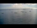 Webcam Les Anses-d'Arlet