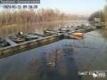 Webcam Tiszafüred: View of Tisza River