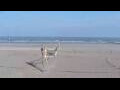 Webcam Bredene