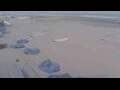 Webcam Bredene