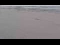 Webcam Bredene