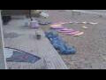 Webcam Bredene