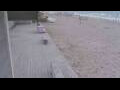 Webcam Bredene