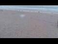 Webcam Bredene