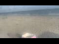 Webcam Bredene