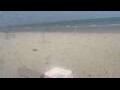 Webcam Bredene