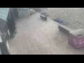 Webcam Bredene