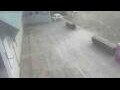 Webcam Bredene