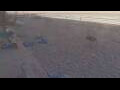 Webcam Bredene
