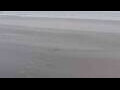 Webcam Bredene