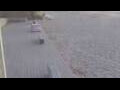 Webcam Bredene