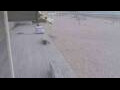 Webcam Bredene