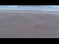 Webcam Bredene