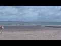 Webcam Bredene