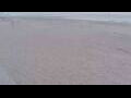 Webcam Bredene