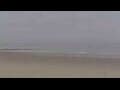 Webcam Bredene
