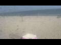 Webcam Bredene