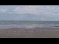 Webcam Bredene