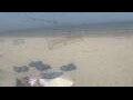 Webcam Bredene