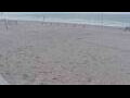 Webcam Bredene