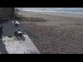 Webcam Bredene