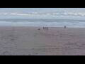 Webcam Bredene