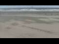 Webcam Bredene