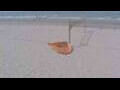 Webcam Bredene