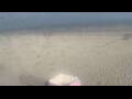 Webcam Bredene