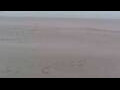 Webcam Bredene