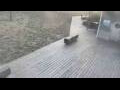 Webcam Bredene