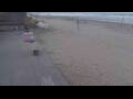 Webcam Bredene