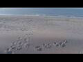 Webcam Bredene