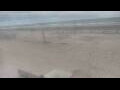 Webcam Bredene