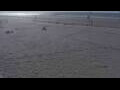 Webcam Bredene