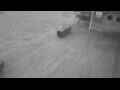 Webcam Bredene