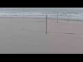 Webcam Bredene