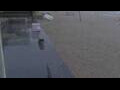 Webcam Bredene
