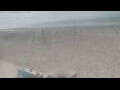 Webcam Bredene