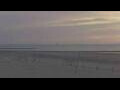 Webcam Bredene