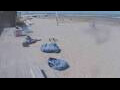 Webcam Bredene